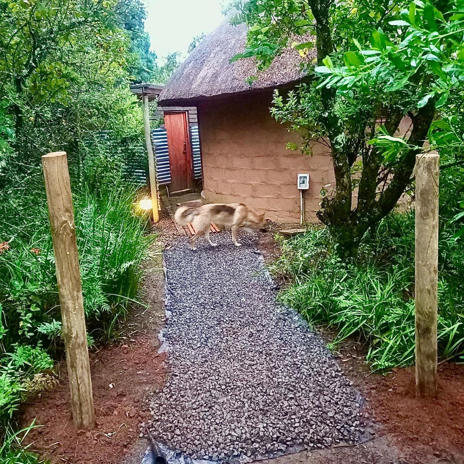 Champagne Valley Drakensberg Inkosana Lodge מראה חיצוני תמונה