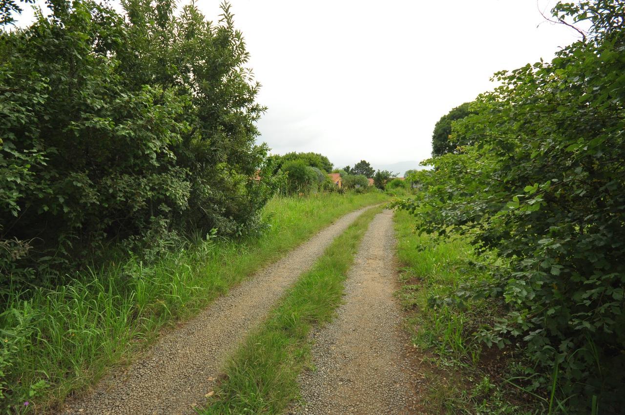 Champagne Valley Drakensberg Inkosana Lodge מראה חיצוני תמונה