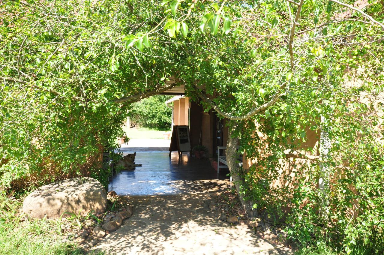 Champagne Valley Drakensberg Inkosana Lodge מראה חיצוני תמונה