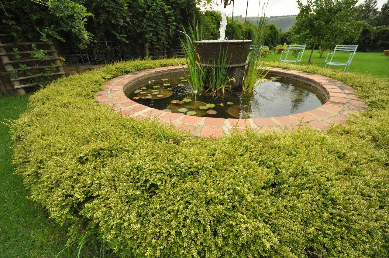 Champagne Valley Drakensberg Inkosana Lodge מראה חיצוני תמונה