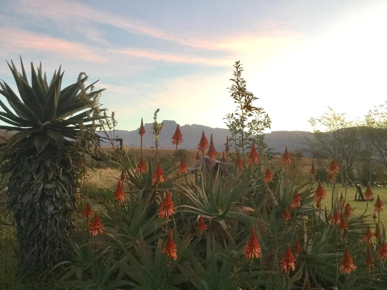 Champagne Valley Drakensberg Inkosana Lodge מראה חיצוני תמונה