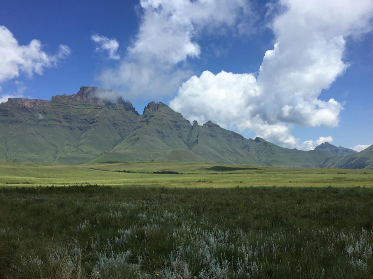 Champagne Valley Drakensberg Inkosana Lodge מראה חיצוני תמונה