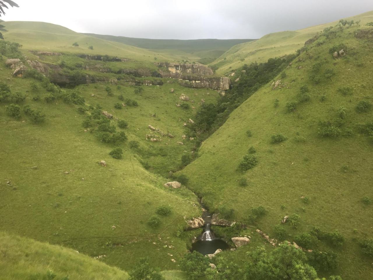 Champagne Valley Drakensberg Inkosana Lodge מראה חיצוני תמונה